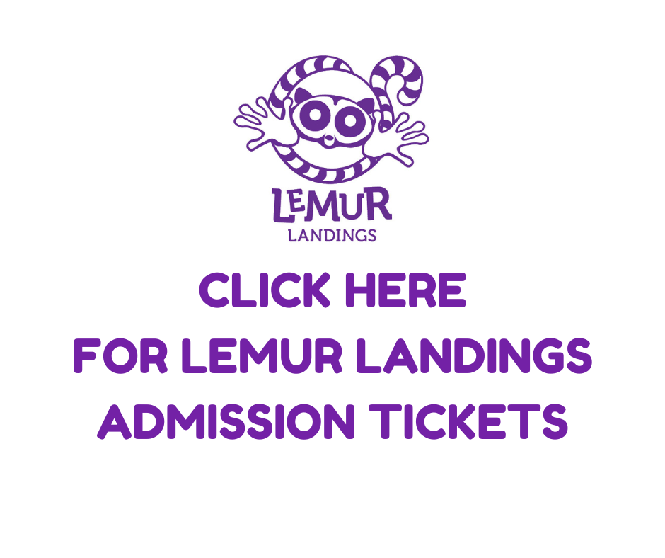 Lemur Landings Soft Play SPLASHDOWNWATERPARKS.CO.UK